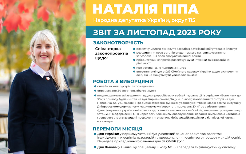 Звіт листопад 2023