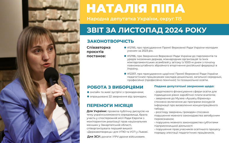 Звіт листопад 2024